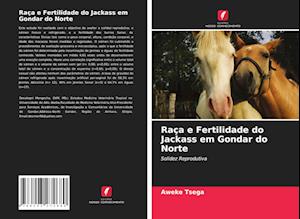 Raça e Fertilidade do Jackass em Gondar do Norte