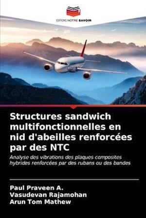 Structures sandwich multifonctionnelles en nid d'abeilles renforcées par des NTC