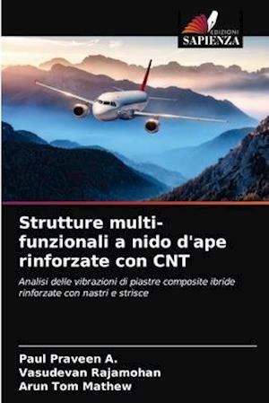 Strutture multi-funzionali a nido d'ape rinforzate con CNT