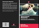 Histerectomia Obstetrícia