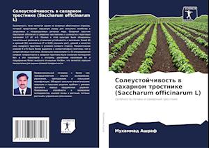 Soleustojchiwost' w saharnom trostnike (Saccharum officinarum L)