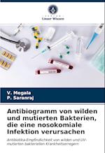 Antibiogramm von wilden und mutierten Bakterien, die eine nosokomiale Infektion verursachen