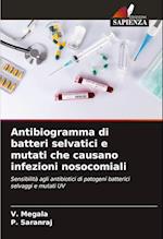 Antibiogramma di batteri selvatici e mutati che causano infezioni nosocomiali