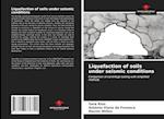 Liquefaction of soils under seismic conditions 