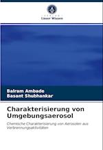 Charakterisierung von Umgebungsaerosol