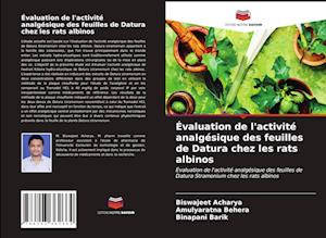 Évaluation de l'activité analgésique des feuilles de Datura chez les rats albinos