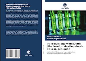 Mikrowellenunterstützte Biodieselproduktion durch Mikroalgenlipide