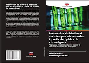 Production de biodiesel assistée par micro-ondes à partir de lipides de microalgues