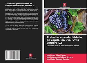 Trabalho e produtividade de capital na uva (Vitis vinifera L.)