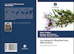 Le romarin (Rosmarinus officinalis)