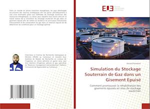 Simulation du Stockage Souterrain de Gaz dans un Gisement Epuisé