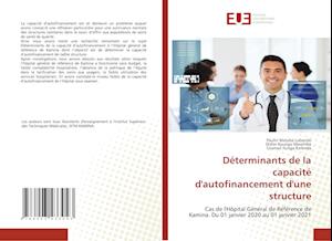 Déterminants de la capacité d'autofinancement d'une structure