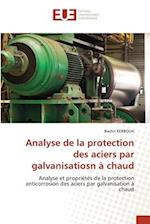 Analyse de la protection des aciers par galvanisatiosn à chaud