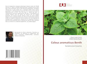 Coleus aromaticus Benth