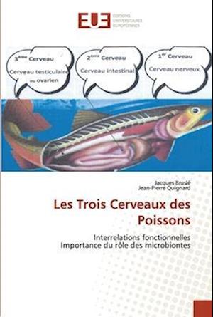 Les Trois Cerveaux des Poissons