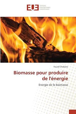 Biomasse pour produire de l'énergie