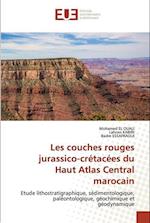 Les couches rouges jurassico-crétacées du Haut Atlas Central marocain