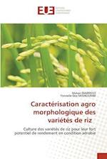 Caractérisation agro morphologique des variétés de riz