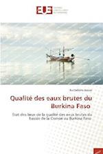 Qualité des eaux brutes du Burkina Faso