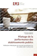 Pilotage de la performance des établissements publics