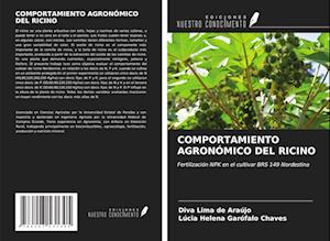 COMPORTAMIENTO AGRONÓMICO DEL RICINO