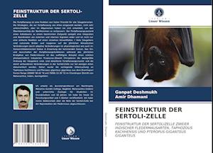 FEINSTRUKTUR DER SERTOLI-ZELLE