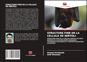 STRUCTURE FINE DE LA CELLULE DE SERTOLI