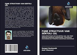 FIJNE STRUCTUUR VAN SERTOLI CEL