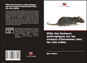 Effet des facteurs anthropiques sur les niveaux d'hormones chez les rats mâles