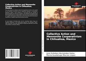 Collective Action and Mennonite Cooperativism in Chihuahua, Mexico