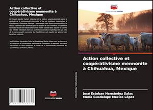 Action collective et coopérativisme mennonite à Chihuahua, Mexique