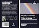 ANALYSE VAN EXCIMER LASERBEWERKING VAN MICROPATRONEN