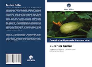 Zucchini Kultur