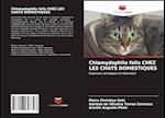 Chlamydophila felis CHEZ LES CHATS DOMESTIQUES