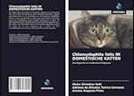 Chlamydophila felis IN DOMESTISCHE KATTEN