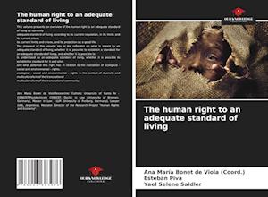 The human right to an adequate standard of living