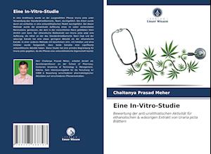 Eine In-Vitro-Studie