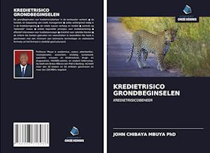 KREDIETRISICO GRONDBEGINSELEN