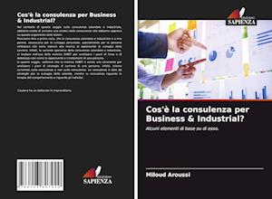 Cos'è la consulenza per Business & Industrial?