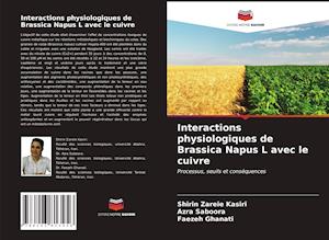 Interactions physiologiques de Brassica Napus L avec le cuivre