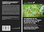 Variabilidad de las precipitaciones y riesgos de sequías durante el cultivo de la soja