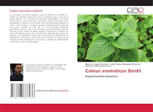 Coleus aromaticus Benth