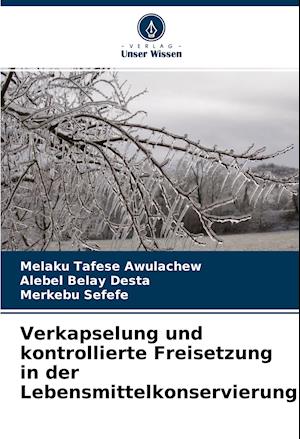 Verkapselung und kontrollierte Freisetzung in der Lebensmittelkonservierung