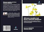 3Groene noedels met Eruca vesicaria bladeren