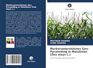 Markerunterstütztes Gen-Pyramiding in Maislinien (Zea mays L.)