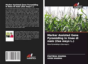 Marker Assisted Gene Pyramiding in linee di mais (Zea mays L.)