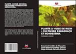 PLANTE À HUILE DE RICIN : CULTIVARS PARAGUAÇU ET NORDESTINA