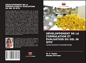 DÉVELOPPEMENT DE LA FORMULATION ET ÉVALUATION DU GEL IN SITU