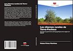 Les citernes rurales de Torre-Pacheco