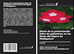 Efecto de la pulverización foliar de poliaminas en las flores del bígaro de Madagascar